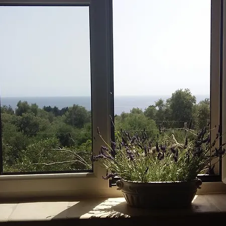 La Maison *